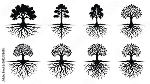 Foto Collection of Diverse Tree Silhouettes with Intricate Root Systems