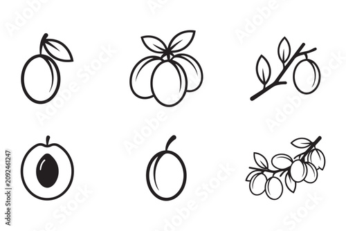 Cuadro en lienzo Set of fresh plum outline simple style on transparent background for food design