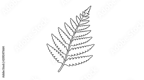 Bilde på lerret A delicate hand-traced fern frond unfurls in clean black and white line art, ideal for botanical branding, eco-friendly packaging, or nature-inspired decorative elements