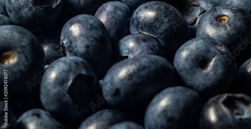 Fresh Blueberry Texture Background, Ripe Organic Berry