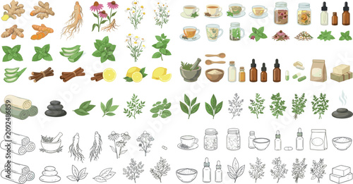 Fotografie Natural herbal medicine and organic spa cosmetics vector element collection with