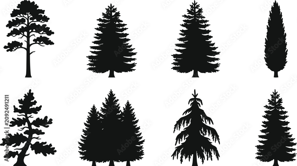Obraz premium Conifer Tree Silhouette Collection with Evergreen Pine and Cypress Isolated Black Vector Set