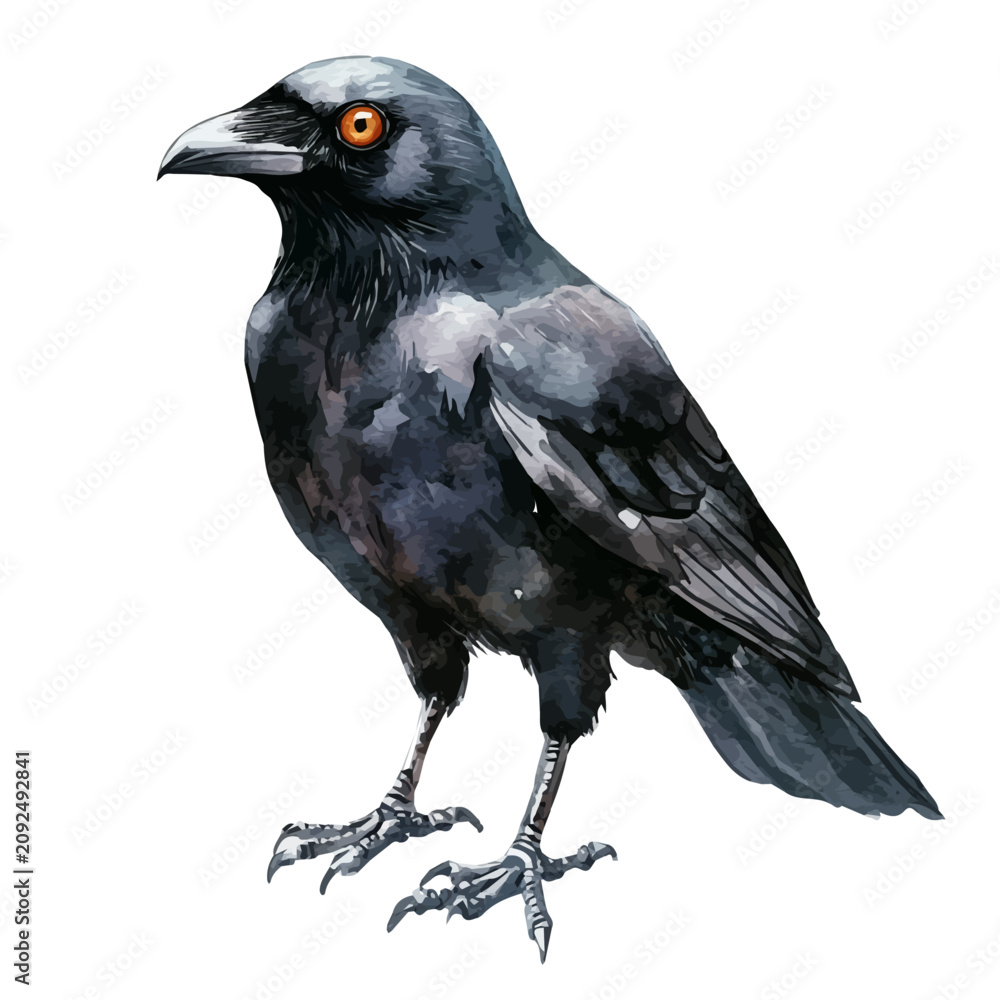 Fototapeta premium Crow watercolor artwork, clean semi-realistic fantasy style, soft magical glow, white background