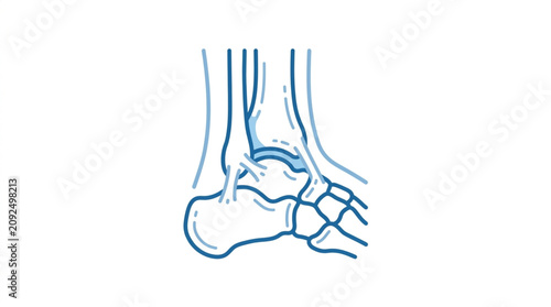 Fotografía Anatomical Diagram of Human Foot Bones and Nerves.