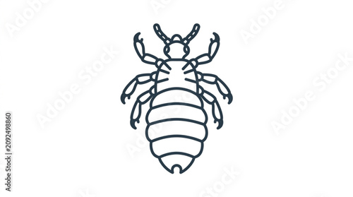 Quadro su tela Detailed Line Drawing of a Louse Insect Illustration.