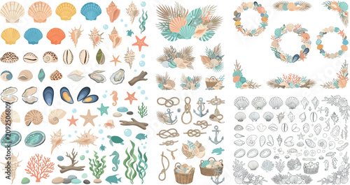 Quadro su tela Coastal Beach Seashells and Ocean Marine Life Vector Element Set with Coral Wrea