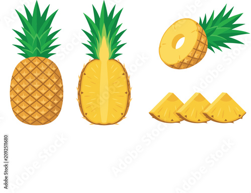 Bild auf Leinwand Fresh tropical pineapple fruit vector cartoon illustration set featuring whole p