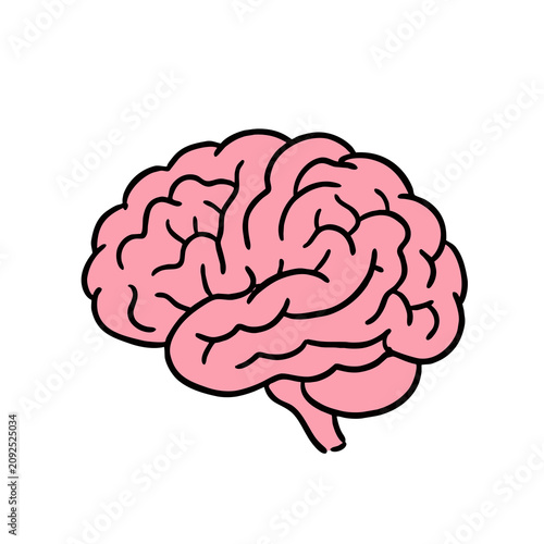 фотографія human brain vector illustration isolated on a transparent background