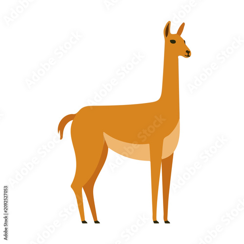 Photos Guanaco, flat 2D graphic illustration in a modern minimal style, isolated on a white background