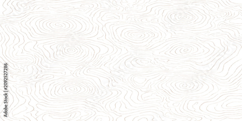 Bild auf Leinwand Concentric circle topographic contour map pattern abstract brown lines minimal b