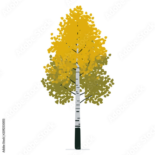 Aspen Tree, simple flat 2D artwork with minimal details, isolated on a white background.
