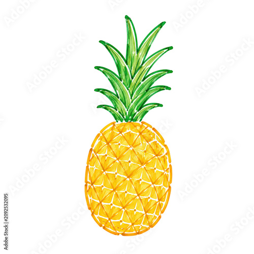 Fresh Pineapple Tropical Summer Fruit Illustration for Beach Vacation and Island Designs