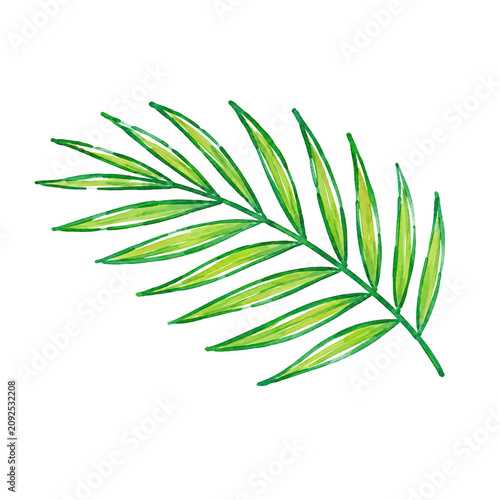 Tropical Palm Leaf Botanical Summer Illustration for Beach Vacation and Island Designs