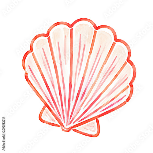 Pink Scallop Seashell Coastal Beach Summer Illustration for Tropical Ocean Designs