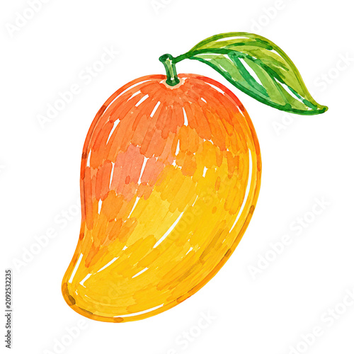 Fresh Mango Tropical Summer Fruit Illustration for Beach Vacation and Island Designs