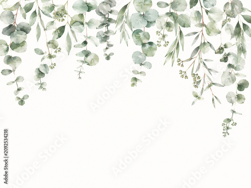 Elegant watercolor eucalyptus branches hanging from the top on a clean white background with large copy space, ideal for wedding invitations, stationery, botanical frames, minimal floral design, greet