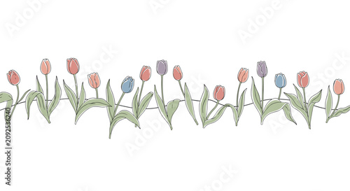 Elegant horizontal border design of hand-drawn spring tulips with soft colorful fills on a clean white background.