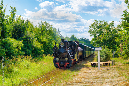 Vintage steam locomotive leads a green passenger train through a lush, sunlit rural landscape under a partly cloudy sky. The track runs through tall grass, flanked by dense green trees.