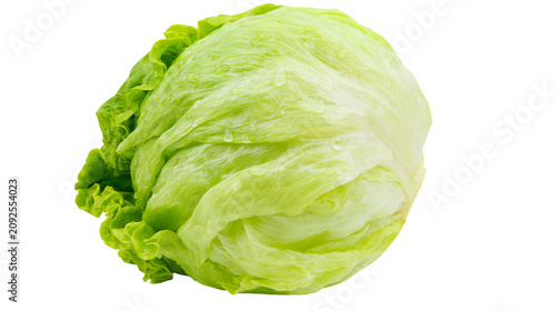 фотографія Fresh green iceberg lettuce head with water droplets, isolated on transparent ba