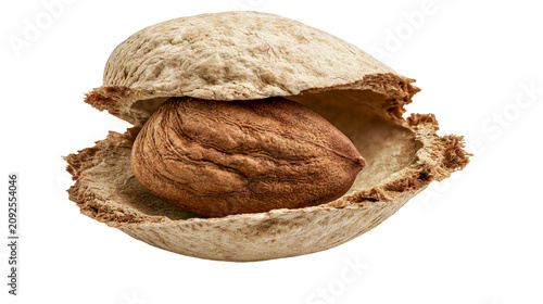 Cuadro en lienzo Brown almond kernel inside a cracked beige shell, isolated on transparent backgr