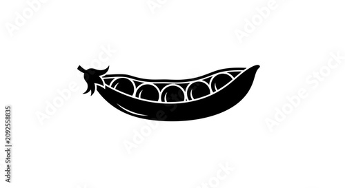 Schilderij op canvas Black and white illustration of a cut open pod with pod visible seeds graphic bo