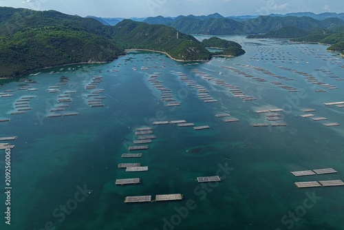 Canvas Print Aerial drone photo of oyster farming rafts in Mushiake Bay, Setouchi, Okayama, J