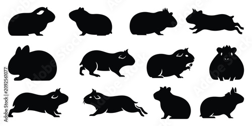 Φωτογραφία Crested-Guinea-Pig Silhouette Vector Set - Small Pet Clipart