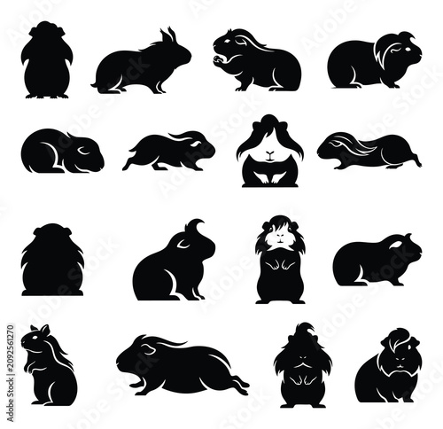 Foto Peruvian-Guinea-Pig Silhouette Vector Set - Small Pet Clipart