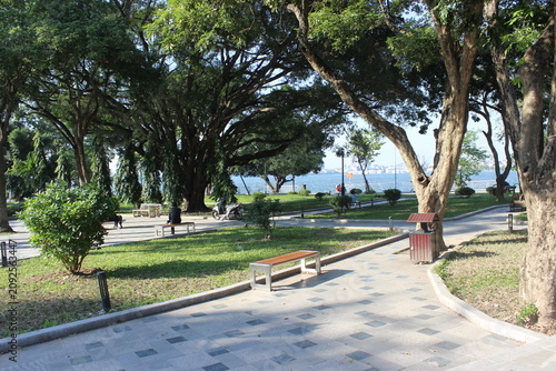 Tableau sur toile Public park landscape with paved pathway green grass and large shady leafy trees