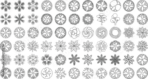 Konstfotografi Top View Tree Canopy Symbols Collection for Landscape Architecture CAD Plan Vect