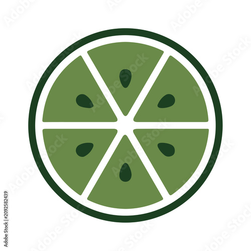 Lemon slice icon, fruit, juice