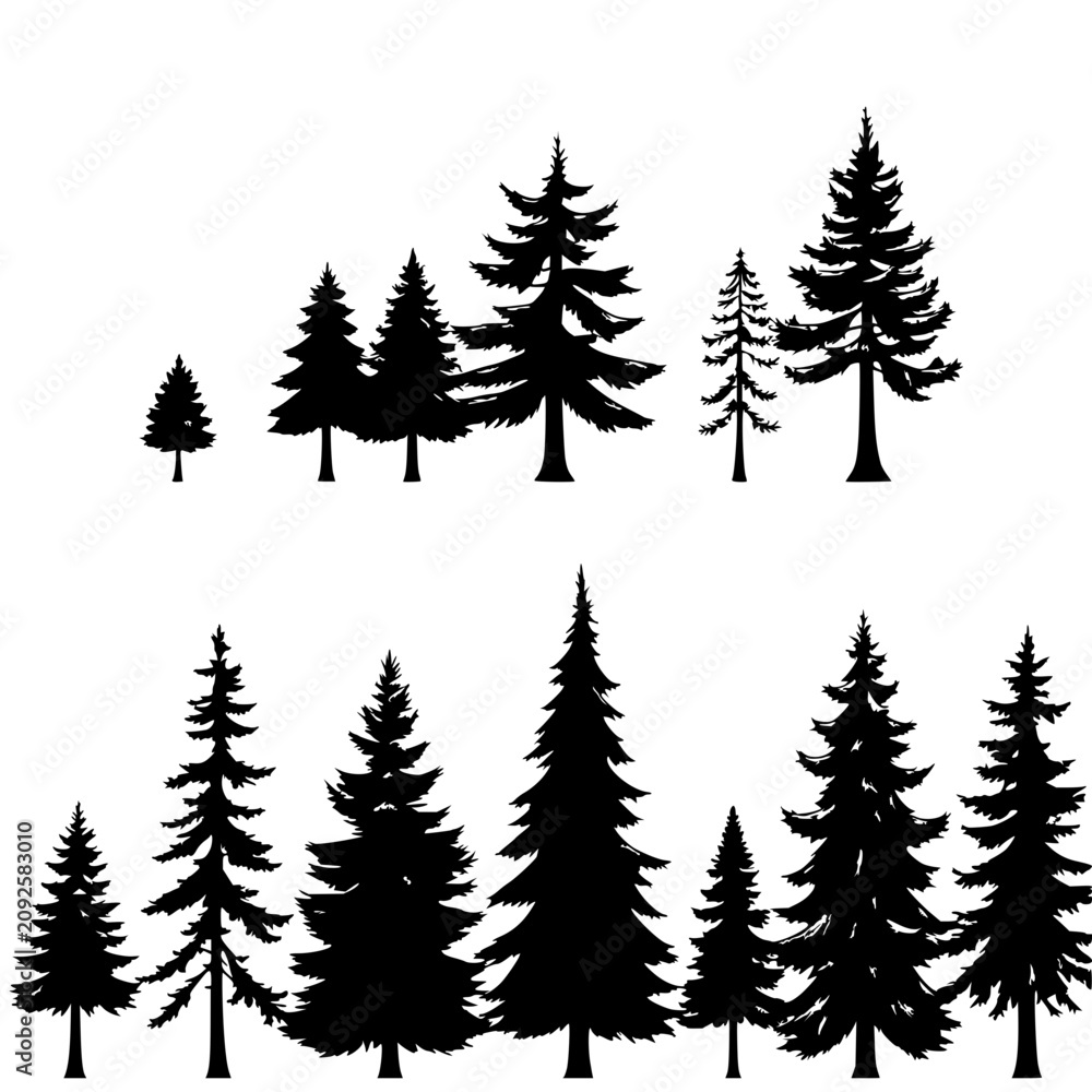 Obraz premium Coniferous trees set with linear arrangement showcasing varying shapes and sizes featuring black and white, minimalist, vector with clean line art and high contrast