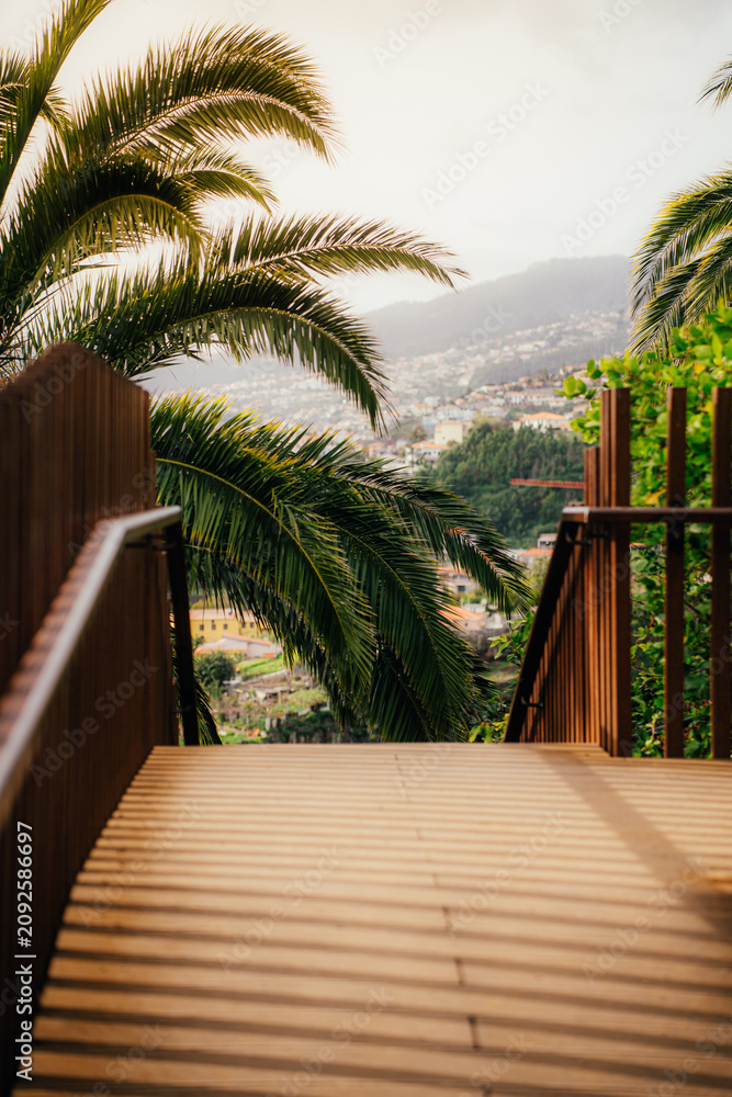 Fototapeta premium Bridge in Botanical Garden Funchal Madeira