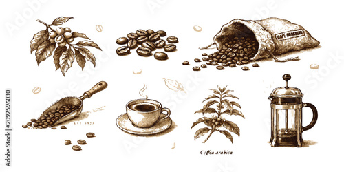 Tableau sur toile Set of hand drawn coffee elements with beans leaves cup sack and french press co