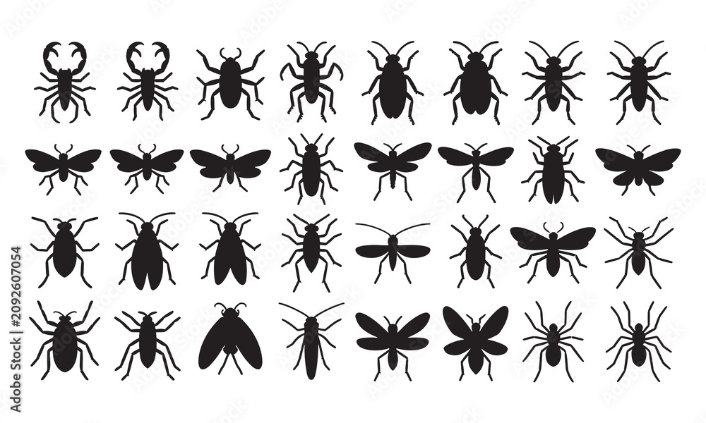 Obraz premium Set of black silhouette representing various insects, beetles, spiders, flies, moths, and bugs in different shapes and sizes, isolated on a clean white background, for use