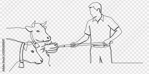 Bild auf Leinwand Farmer feeding hay to cows in a barn line art, transparent background, Farmer feeding hay to cows with a pitchfork in a continuous line illustration, Cow and farmer feeding hay black and white line