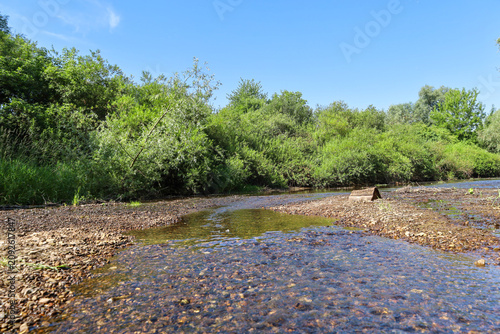 Obraz na płótnie A transparent shallow river with a stony bottom flows past dense green forest thickets under a bright blue sky