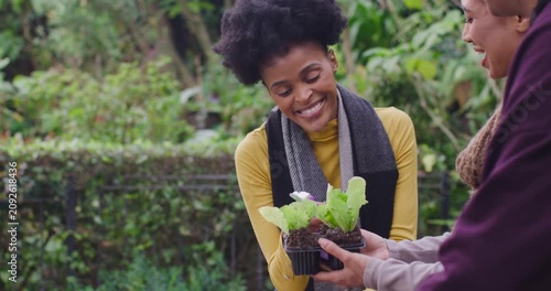 Two adult women at garden holding tray, center reaching and misting seedlings with purple sprayer