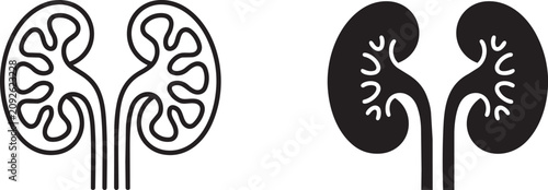 kidneys icon line and solid style vector illustration