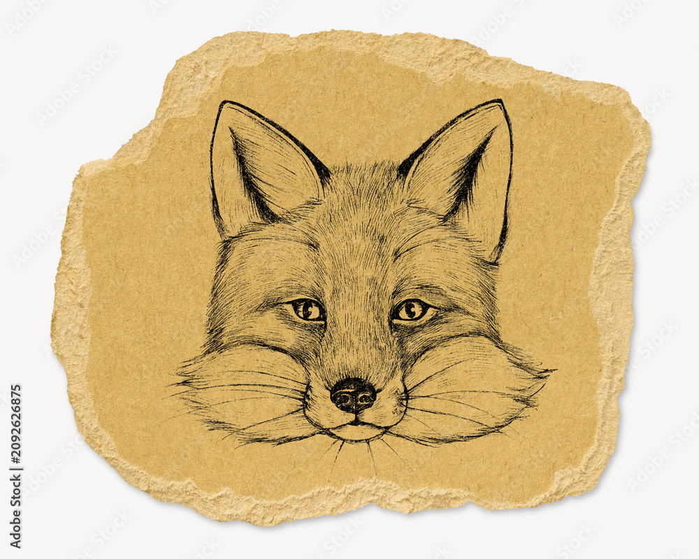 Fototapeta premium Vintage fox illustration, ripped paper collage element
