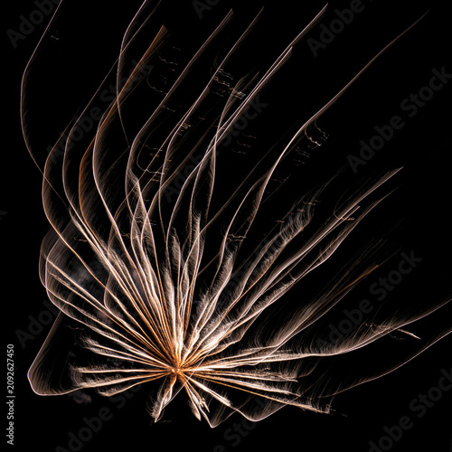 Long Exposure Fireworks in Motion