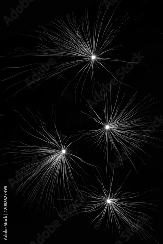 Long Exposure Fireworks in Motion