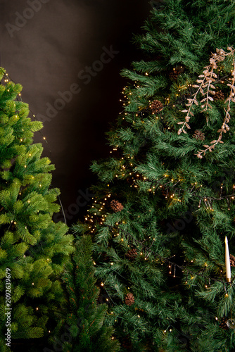 christmas tree with lights and negative space, black background