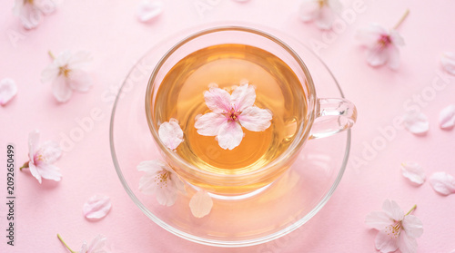 Photos Tea in a glass cup with cherry blossoms on pink background