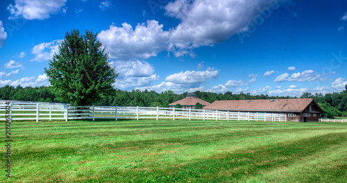 Horse Ranch