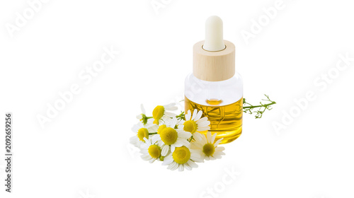 Glass dropper bottle with golden chamomile oil and fresh daisy flowers, isolated on transparent background