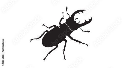 Bild auf Leinwand Stag beetle silhouette against a white background