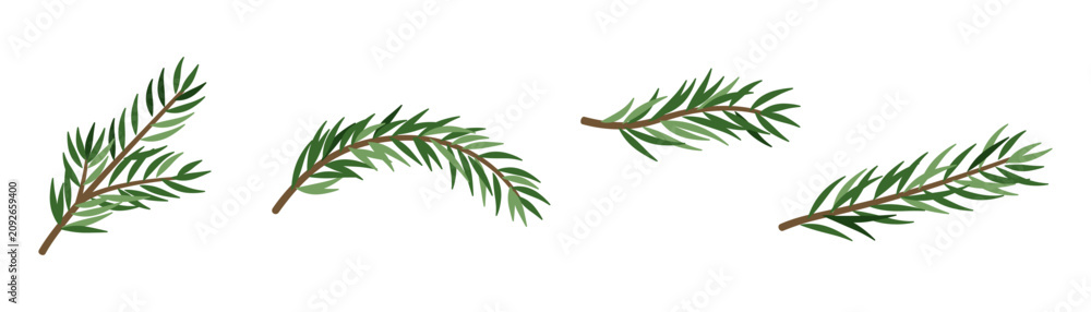 Fototapeta premium Green spruce branch illustration. Pine needles for holiday decorations PNG. Evergreen tree element isolated on white, ideal for Christmas garland designs.