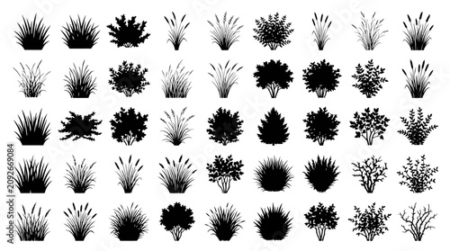 Foto Black grass silhouettes and wild plant bushes, set of 45 botanical vector elemen