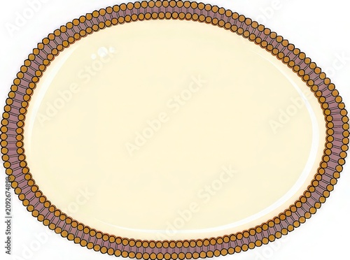 Elegant Oval Frame with Decorative Beaded Border on Cream Background
